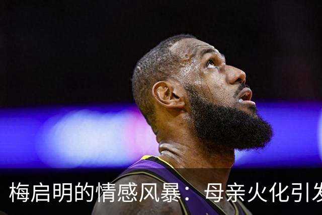 梅启明的情感风暴：母亲火化引发的医院惊魂记